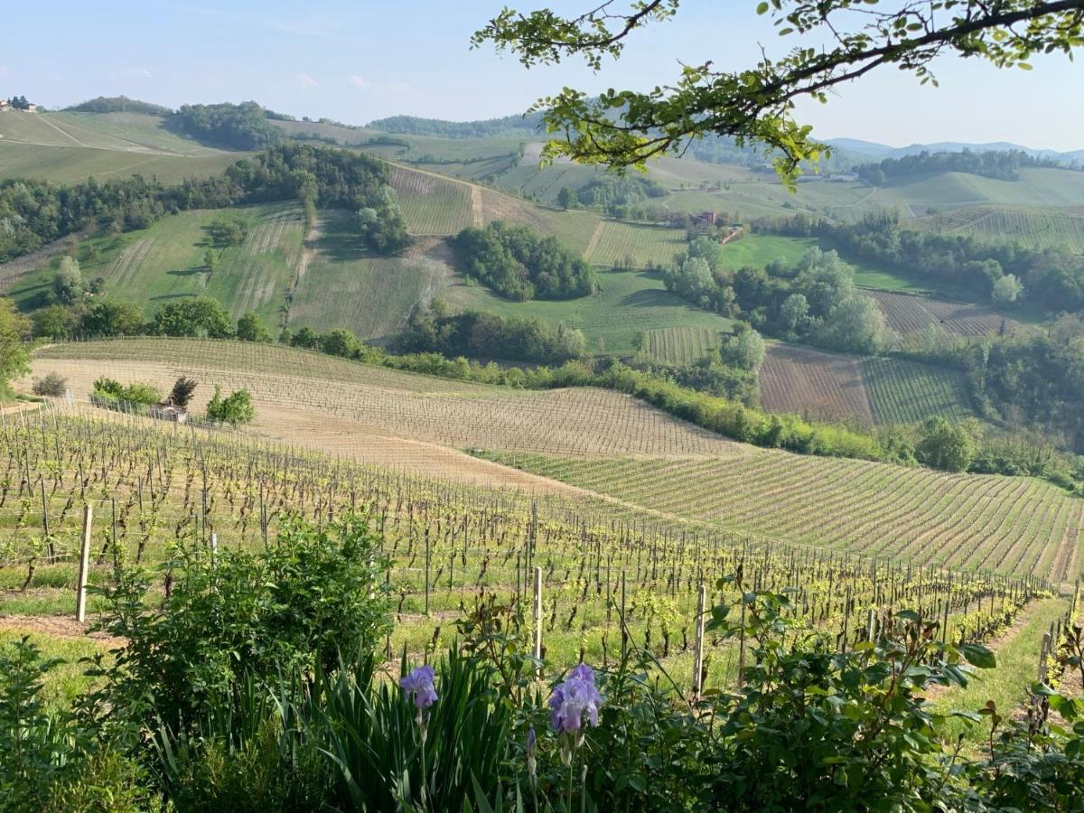 I Gessi * Calvignano